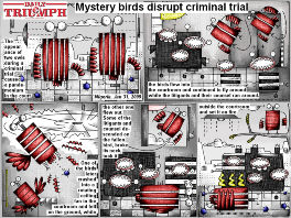Bob Schroeder | 2014 | Mystery birds disrupt criminal trial | Preview
