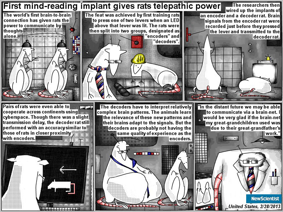 Bob Schroeder | First mind-reading implant gives rats telepathic power | The world’s first brain-to-brain connection has given rats the power to communicate by thoughts alone. The feat was achieved by first training rats to press one of two levers when an LED above that lever was lit. The rats were then split into two groups, designated as “encoders” and “decoders”. The researchers then wired up the implants of an encoder and a decoder rat. Brain signals from the encoder rat were recorded just before they pressed the lever and transmitted to the decoder rat. Pairs of rats were even able to cooperate across continents using cyberspace. Though there was a slight transmission delay, the decoder rat still performed with an accuracy similar to those of rats in closer proximity with encoders. The decoders have to interpret relatively complex brain patterns. The animals learn the relevance of these new patterns and their brains adapt to the signals. But the decoders are probably not having the same quality of experience as the encoders. “In the distant future we might be able to communicate via a brain-net. I would be very glad if the brain-net my great-grandchildren used was due to their great-grandfather’s work.”